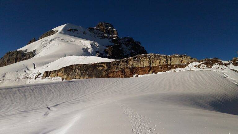 The Role of Political Campaigns in Influencing Voter Preferences