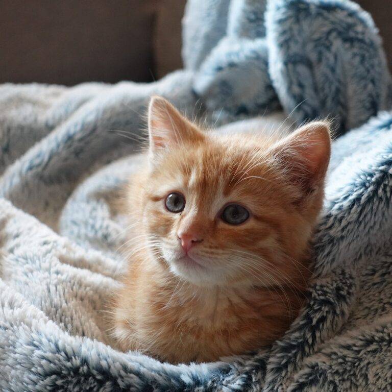 Stylish and Functional Mudroom Ideas for Every Home